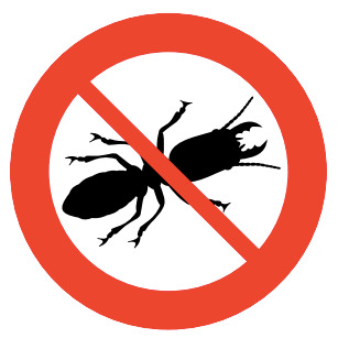 Termite & Wood-Borer Control
